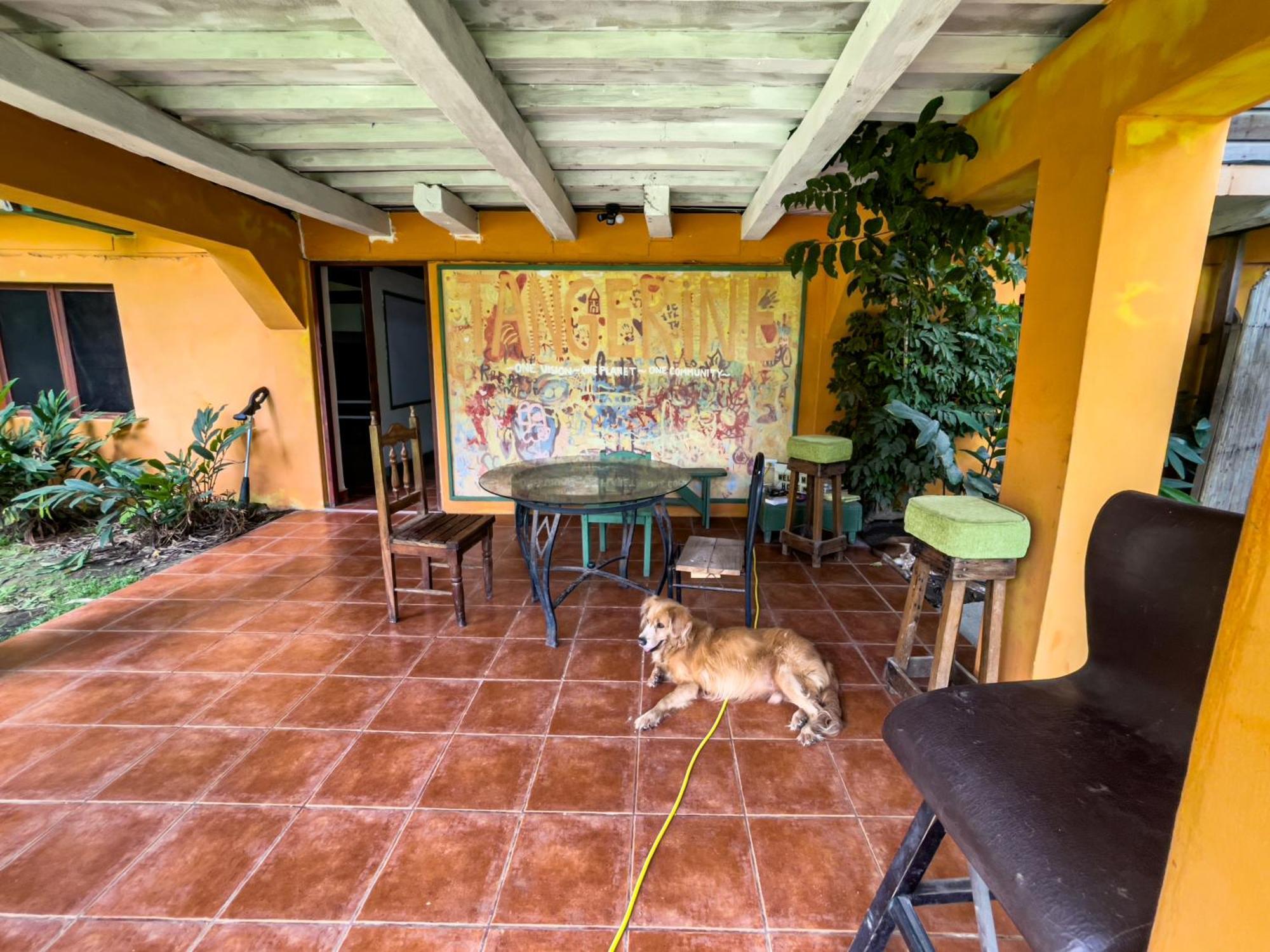 Garden Rooms Bocas Town Exterior foto
