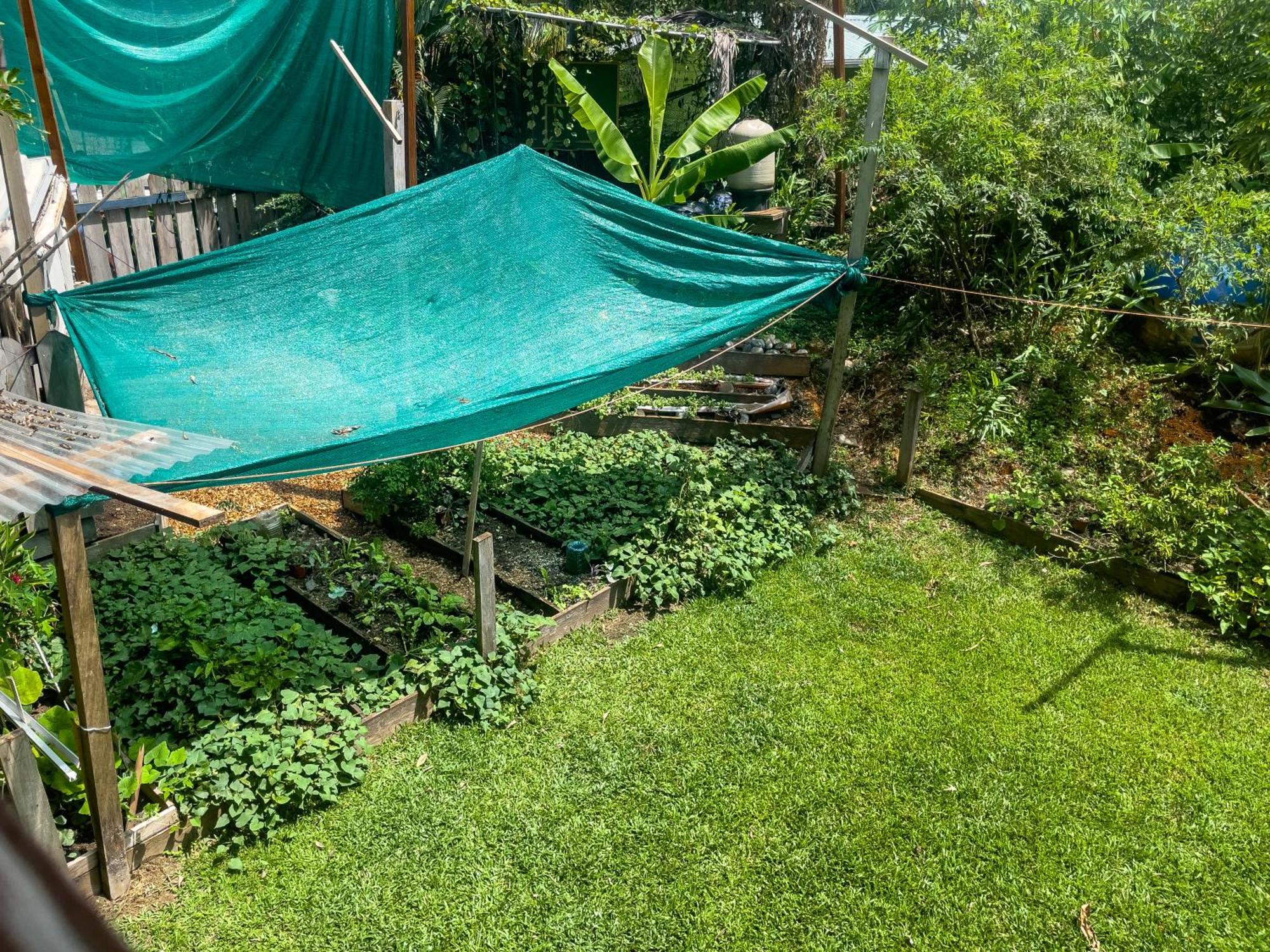 Garden Rooms Bocas Town Exterior foto